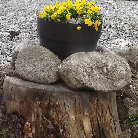 Schody Do Nieba Zakopane